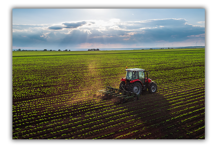 Farming